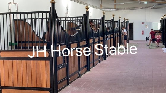 Customized Size 14 Foot Horse Stall Fronts Infill Bamboo Steel Frame