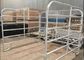 Fully Welded 2.1m Height Cattle Yard Panel Galvanized Or Powder Coating